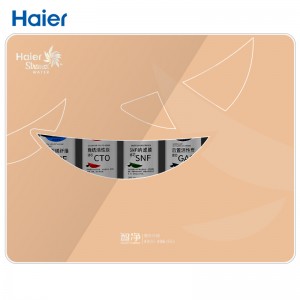 海尔（Haier）智净净水机 HSNF-300P1（J）净水器  金色